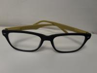 CS1890/2025 BLACK AND GREEN GLASSES - BRAND ZIPPO